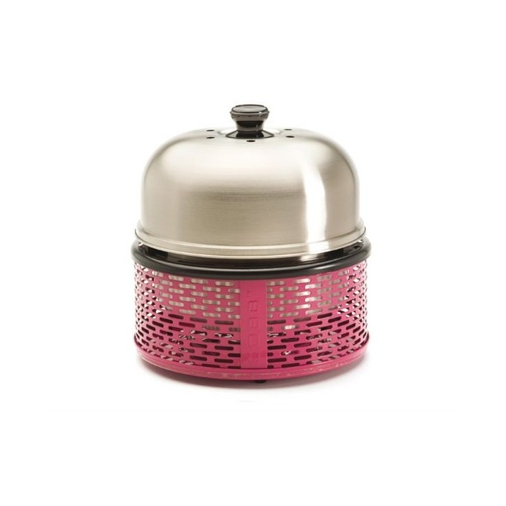 Cobb Pro Barbecue